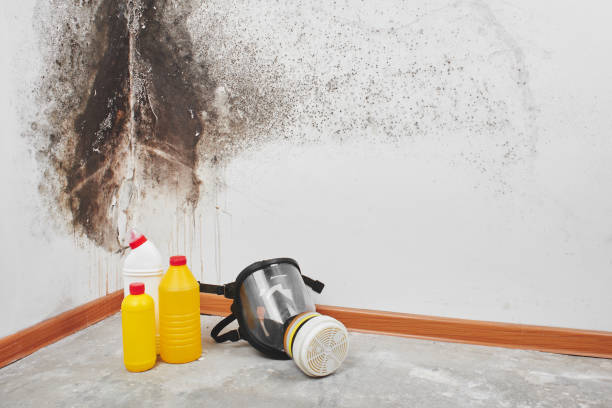 Ontario, OR Mold Removal Company