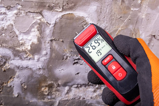 Best Residential Mold Removal  in Ontario, OR